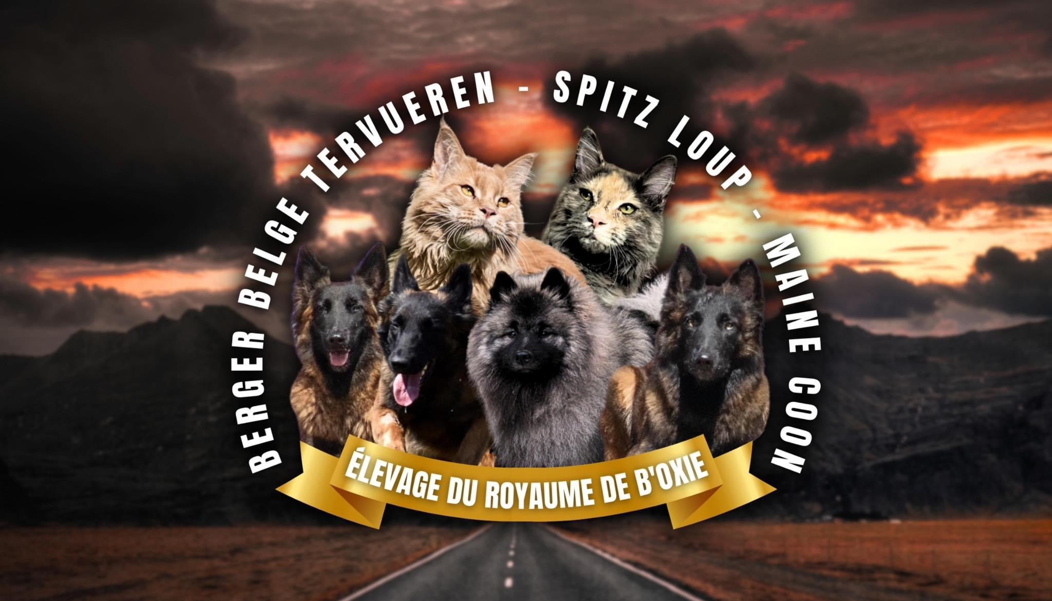 Du Royaume De B’Oxie